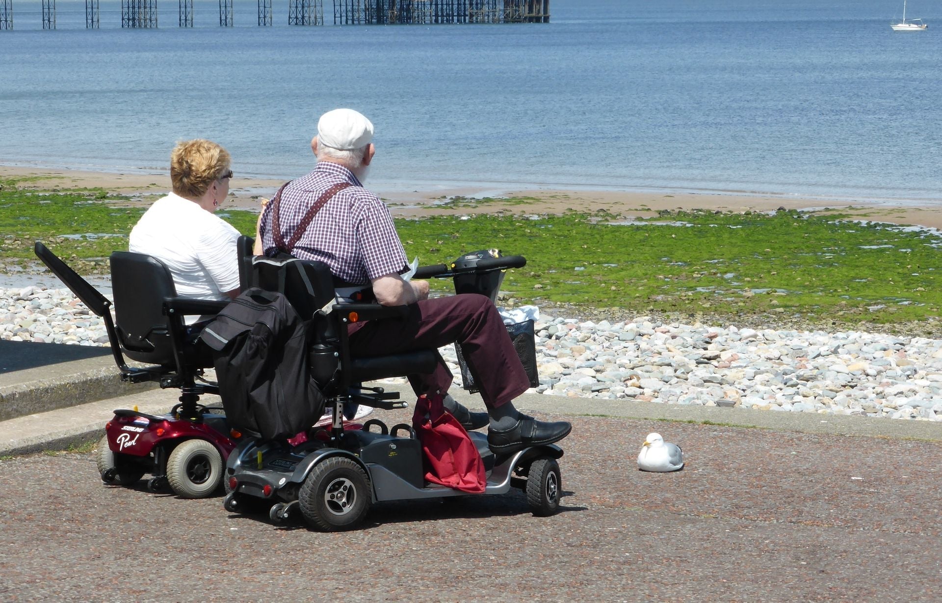 Electric Mobility Solutions: Choosing Between an Electric Scooter, Mobility Scooter, and Electric Trike