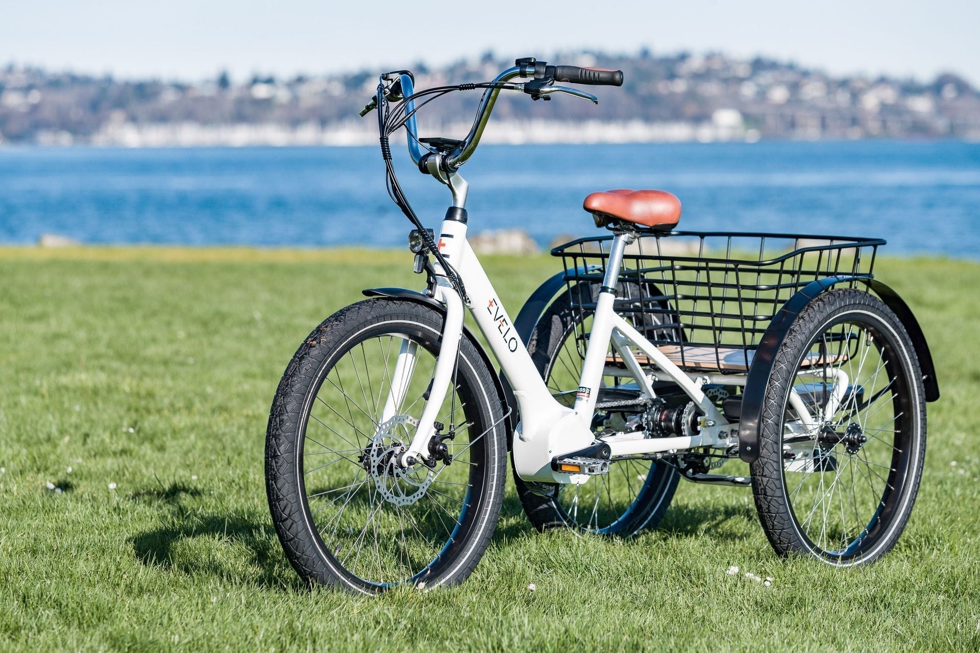Everything You Need to Know About Electric Trikes Before You Buy