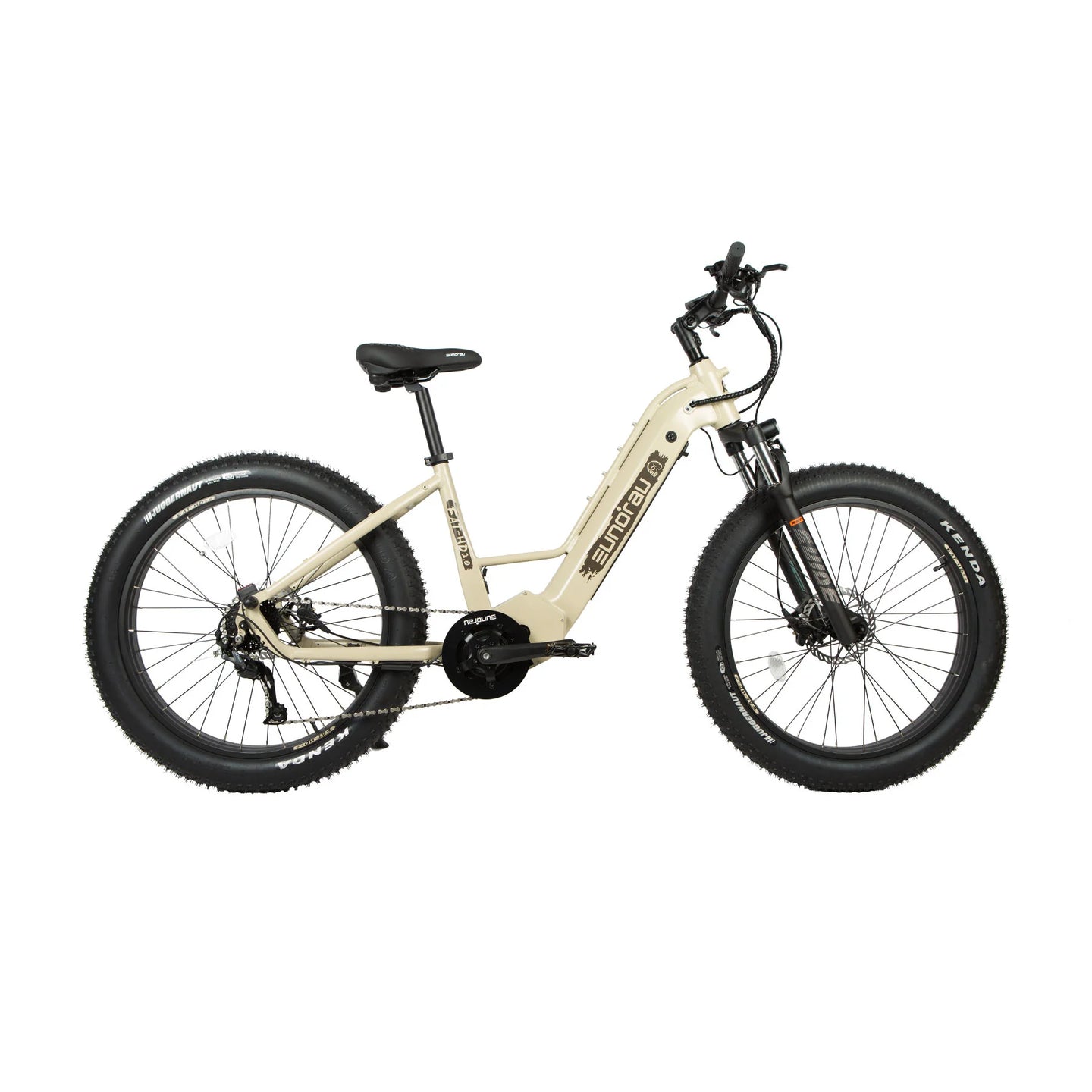 EUNORAU Fat-HD 2.0 48V 1000W BAFANG Mid-Drive Fat Tire eBike 80mi
