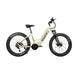 EUNORAU Fat-HD 2.0 48V 1000W BAFANG Mid-Drive Fat Tire eBike 80mi