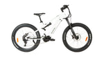 EUNORAU Urus 2.0 48V 500W BAFANG M600 Mid-Drive Full Suspension