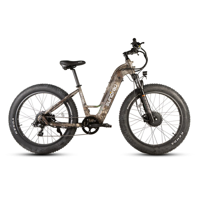 EUNORAU Fat-AWD 3.0 48V Dual 500W Motor Fat Tire eBike 80mi LG