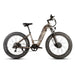 EUNORAU Fat-AWD 3.0 48V Dual 500W Motor Fat Tire eBike 80mi LG