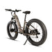 EUNORAU Fat-AWD 3.0 48V Dual 500W Motor Fat Tire eBike 80mi LG