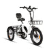 EUNORAU One-Trike 2.0 48V 500W Electric Trike Folding 440lbs 50mi