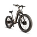 EUNORAU Fat-AWD 3.0 48V Dual 500W Motor Fat Tire eBike 80mi LG