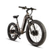 EUNORAU Fat-AWD 3.0 48V Dual 500W Motor Fat Tire eBike 80mi LG