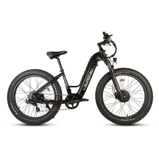 EUNORAU Fat-AWD 3.0 48V Dual 500W Motor Fat Tire eBike 80mi LG