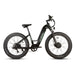 EUNORAU Fat-AWD 3.0 48V Dual 500W Motor Fat Tire eBike 80mi LG