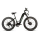 EUNORAU Fat-AWD 3.0 48V Dual 500W Motor Fat Tire eBike 80mi LG