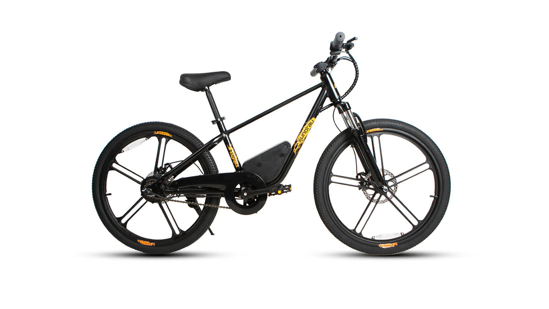 EUNORAU eKids24 24V 250W Kids Electric Bike 3 Speeds Ages 8 Plus