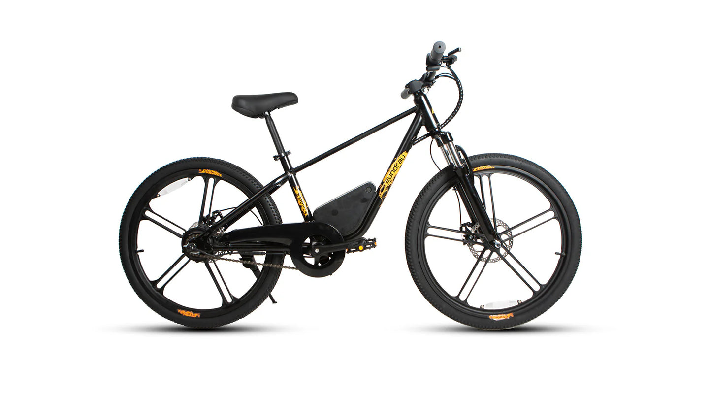 EUNORAU eKids24 24V 250W Kids Electric Bike 3 Speeds Ages 8 Plus