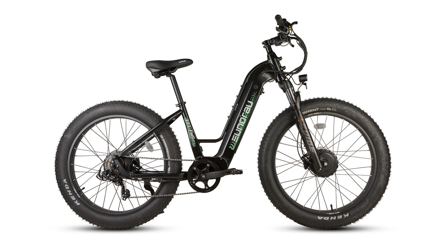 EUNORAU Fat-AWD 3.0 48V Dual 500W Motor Fat Tire eBike 80mi LG