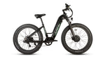 EUNORAU Fat-AWD 3.0 48V Dual 500W Motor Fat Tire eBike 80mi LG