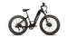 EUNORAU Fat-AWD 3.0 48V Dual 500W Motor Fat Tire eBike 80mi LG