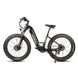 EUNORAU Fat-AWD 3.0 48V Dual 500W Motor Fat Tire eBike 80mi LG