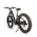 EUNORAU Fat-AWD 3.0 48V Dual 500W Motor Fat Tire eBike 80mi LG