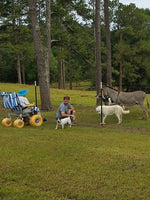 Accessrec AllTerrain Beach Wheelchair TW4