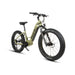 EUNORAU Fat-HD 2.0 48V 1000W BAFANG Mid-Drive Fat Tire eBike 80mi