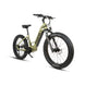 EUNORAU Fat-HD 2.0 48V 1000W BAFANG Mid-Drive Fat Tire eBike 80mi