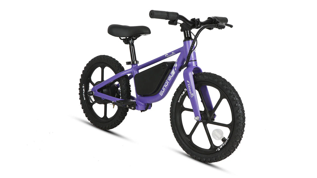 EUNORAU eKids16 24V 180W Kids Balance eBike 3 Speeds Ages 5 Plus