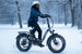 EMMO Oiios Electo UL Certified Foldable Fat Tire Electric Bike