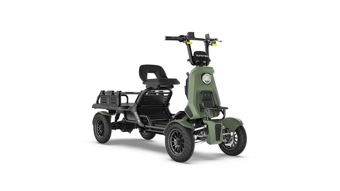 EUNORAU S1000 Electric Utility Quad 1000W 48V 27AH 4-Wheel Cargo