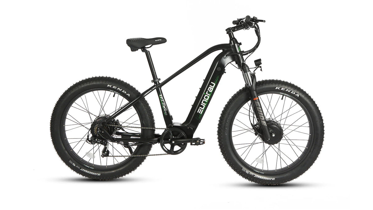 EUNORAU Fat-AWD 2.0 48V Dual 500W Motor Fat Tire eBike 80mi LG