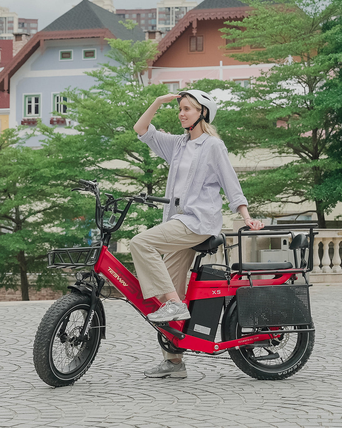 TESWAY X5 Pro Cargo E-Bike – 2000W 200-Mile Family Hauler