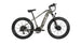 EUNORAU Fat-AWD 2.0 48V Dual 500W Motor Fat Tire eBike 80mi LG