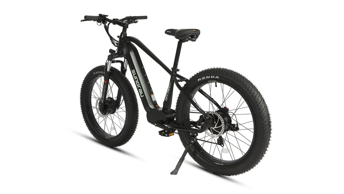 EUNORAU Fat-AWD 2.0 48V Dual 500W Motor Fat Tire eBike 80mi LG