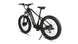 EUNORAU Fat-AWD 2.0 48V Dual 500W Motor Fat Tire eBike 80mi LG