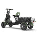 EUNORAU S1000 Electric Utility Quad 1000W 48V 27AH 4-Wheel Cargo