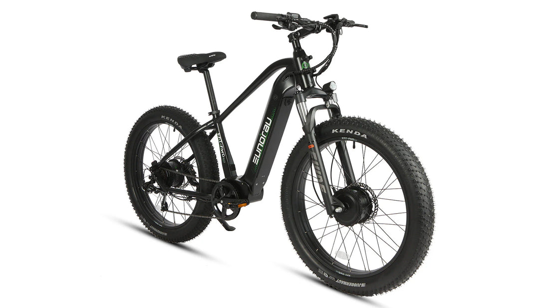 EUNORAU Fat-AWD 2.0 48V Dual 500W Motor Fat Tire eBike 80mi LG