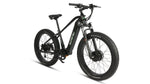 EUNORAU Fat-AWD 2.0 48V Dual 500W Motor Fat Tire eBike 80mi LG