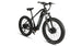EUNORAU Fat-AWD 2.0 48V Dual 500W Motor Fat Tire eBike 80mi LG