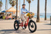 EMMO Trobic Pro Fat Tire Electric Cargo Tricycle with Differential