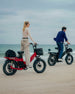 TESWAY X5 Pro Cargo E-Bike – 2000W 200-Mile Family Hauler