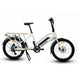 EUNORAU Max-Cargo 2.0 48V 750W Long-Tail Cargo eBike 440lbs 80mi