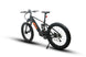 EUNORAU Fat-HS Hunter X8 48V 1000W BAFANG Mid-Drive Fat eBike
