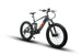 EUNORAU Fat-HS Hunter X8 48V 1000W BAFANG Mid-Drive Fat eBike