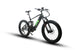 EUNORAU Fat-HS Hunter X8 48V 1000W BAFANG Mid-Drive Fat eBike