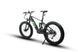 EUNORAU Fat-HS Hunter X8 48V 1000W BAFANG Mid-Drive Fat eBike