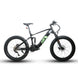 EUNORAU Fat-HS Hunter X8 48V 1000W BAFANG Mid-Drive Fat eBike