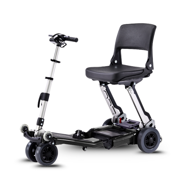 FreeRider Luggie Travel Scooter Standard