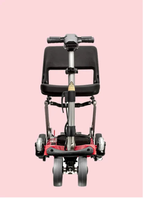 FreeRider Luggie Travel Scooter Classic II