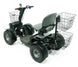 Green Transporter Cheeta Ninja all-terrain mobility scooter