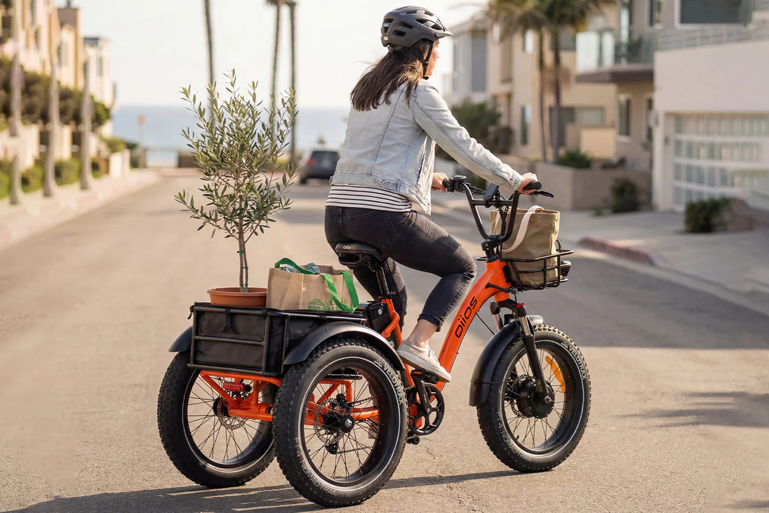 EMMO Oiios Triox Fat Tire Electric Cargo Tricycle with Differential