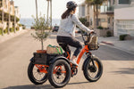 EMMO Oiios Triox Fat Tire Electric Cargo Tricycle with Differential