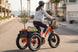 EMMO Oiios Triox Fat Tire Electric Cargo Tricycle with Differential